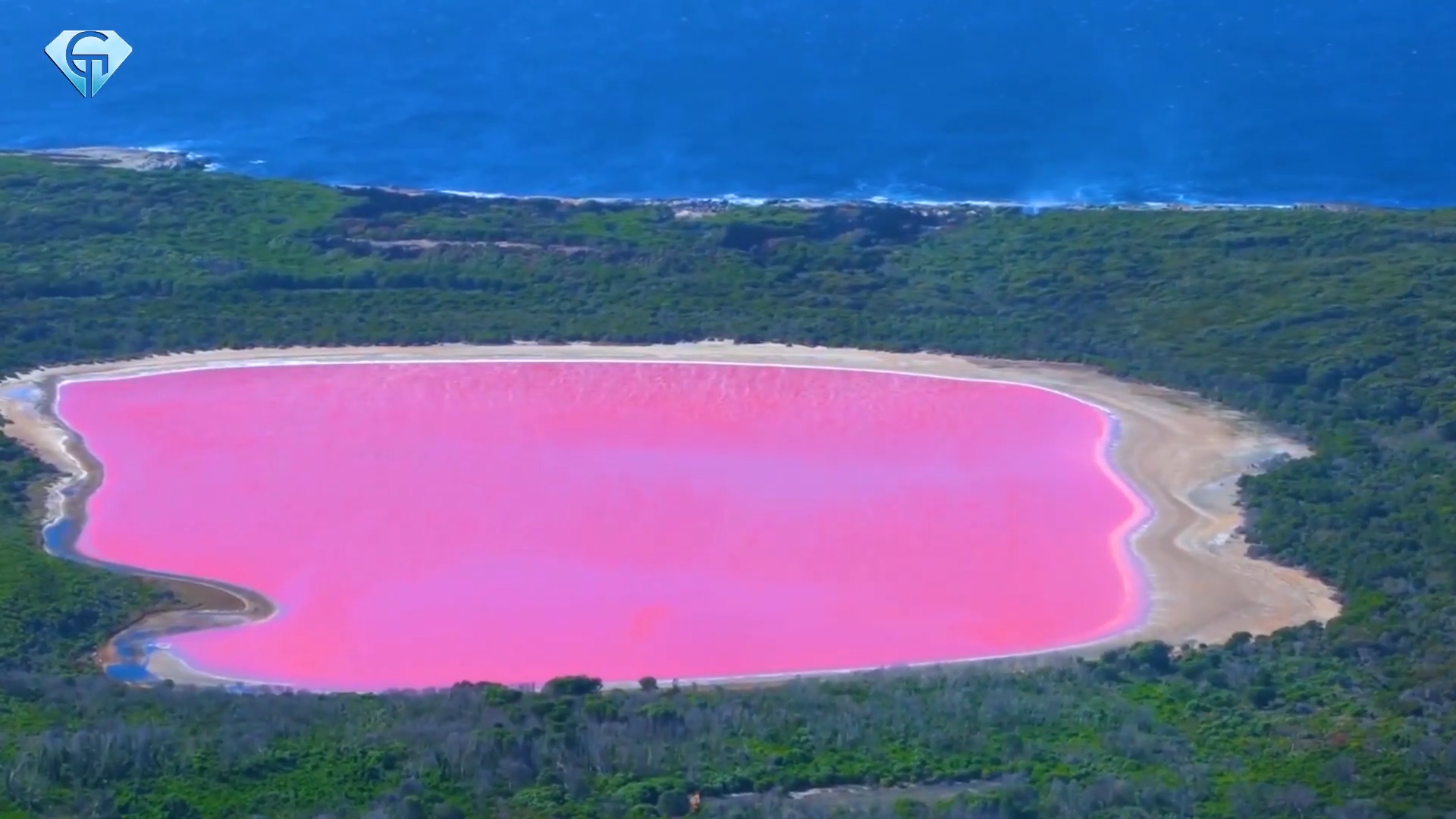 can you survive in this pink lake in australia 0 18 screenshot