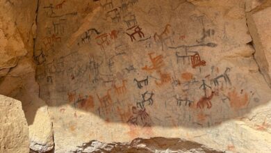 cave paintings