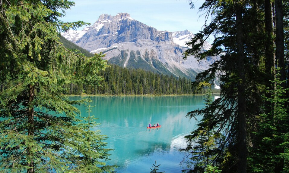 Photo by Bruno Soares on Unsplash